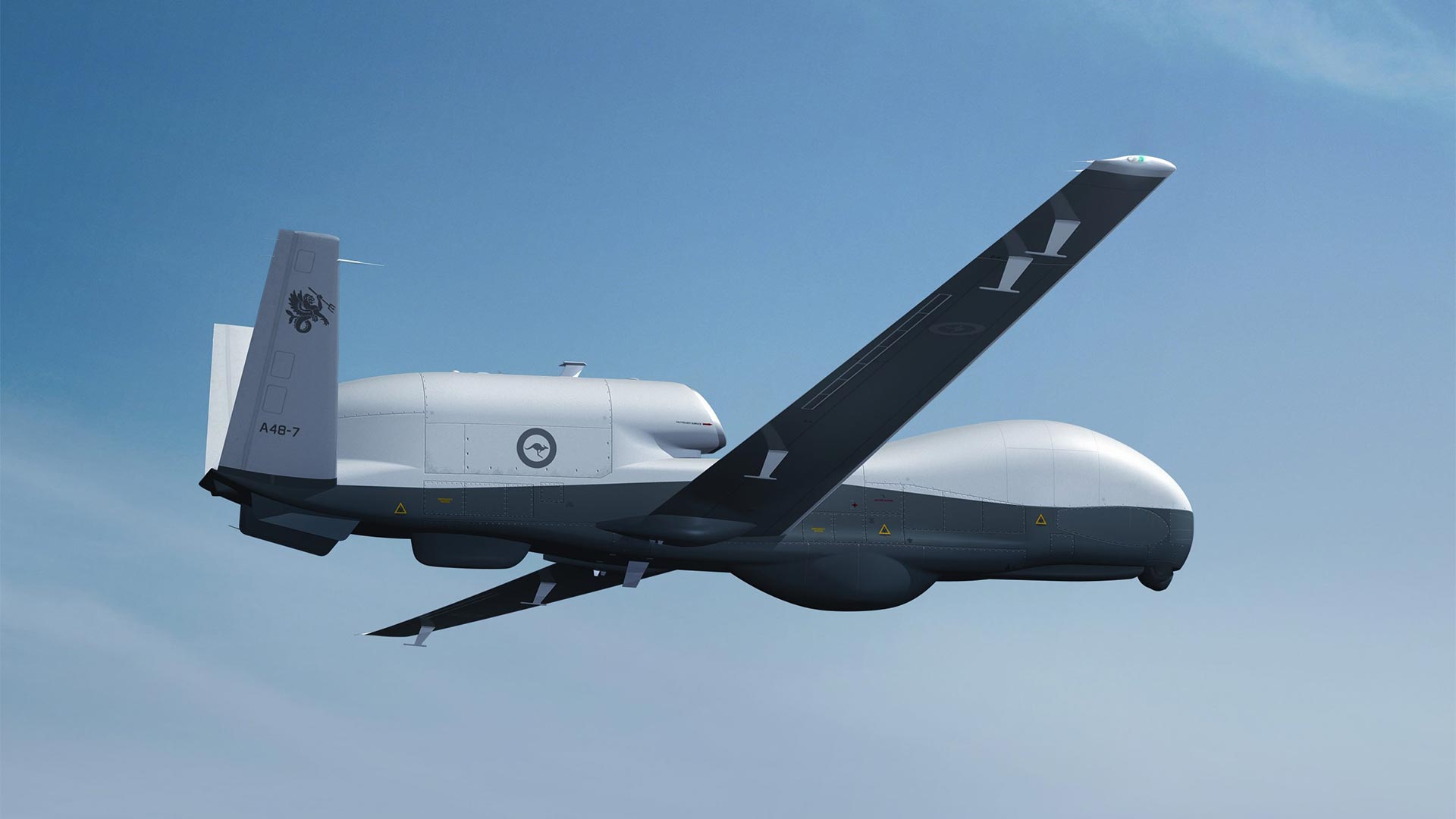 Triton Unmanned Aircraft System