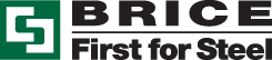 Brice-Logo-Horiz12