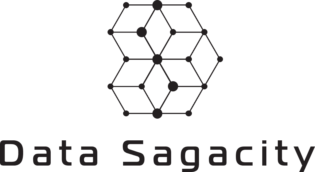 Data Sagacity logo